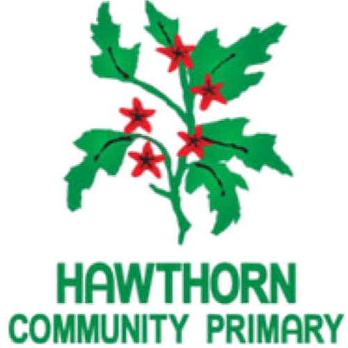 Hawthorn Primary School